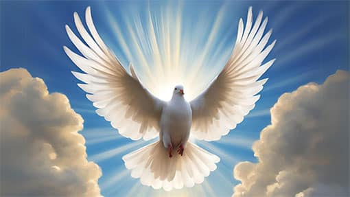 A divine dove soaring through a blue sky between two clouds with sunlight streaming behind